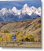 Horses On The Gros Ventre River Metal Print