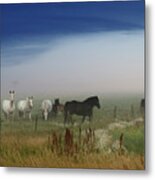 Horses On The Prairie Metal Print