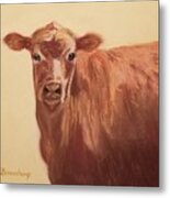How Now Brown Cow Metal Print