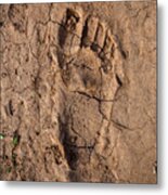 Human Footprint In The East-african Desert (malawi) Metal Print