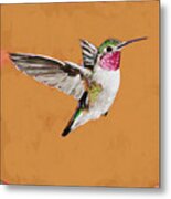 Hummingbird #33 Metal Print