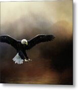 Hunting From Above Metal Print