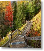 Huron Manistee National Forest In Michigan With Fall Colors Metal Print