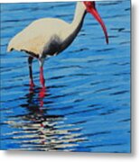 Ibis Metal Print