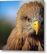 I'm Watching You Metal Print