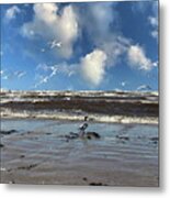 Important Person Duck Pilot In Jurmala  / Special Feature In Camera Art Group 2023 Metal Print