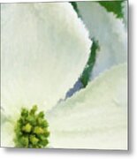 Impression Dogwood 4 Metal Print