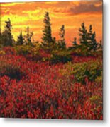 Impressionistic Dolly Sods Metal Print