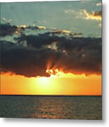 In All His Glory Metal Print