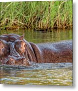 In Charge Of The River Metal Print