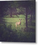 In The Clearing At Dusk Metal Print