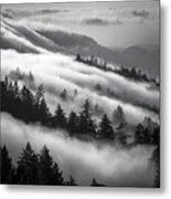 Incoming Fog, Mt. Tamalpais Metal Print