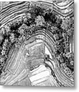 Indonesia Rice Terraces Aerial From Above Bali Black And White Metal Print
