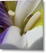 Inner Connection Colorful Lily Metal Print
