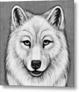 Interior Alaskan Wolf. Black And White Metal Print