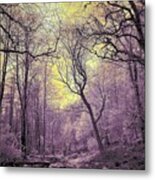 Into The Enchanted Forest Metal Print