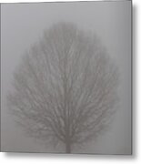 Into The Fog Metal Print