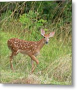 Is That Garden For Me? Metal Print