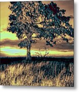 Isolated At Sunrise Fx Metal Print