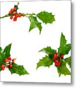 Isolated Holly Twig Selection Metal Print