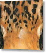 Jaguar Gaze Metal Print Jaguar Gaze Metal Print