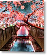 Japan Rising Sun Collection - Meguro River Cherry Blossom V I Metal Print
