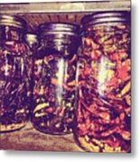 Jars Of Dried Peppers Vintage Style Metal Print