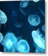 Jellies 3 Metal Print