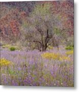 Joshua Tree - Ironwood And Flower Field Metal Print