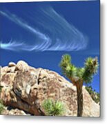 Joshua Tree Metal Print