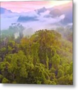 Jungle In Borneo Metal Print