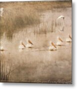 Just Another Day At The Lake Metal Print