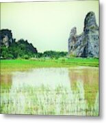 Karst Mountain And Paddy Field Metal Print
