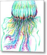 Key West Jellyfish Study 2 Metal Print