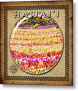 King Kamehameha Day Plumerias Sphere Image With Hawaiian Style Border Metal Print