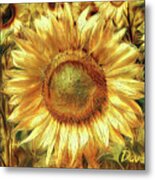 Kissed By The Sun Metal Print