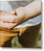 Ladybird Landing On A Child's Hand Metal Print