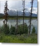 Lake In Jasper National Park Metal Print