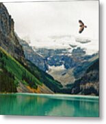 Lake Louse Summer With Hawk Flying Over Lake Metal Print