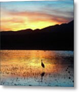 Lake Refuge Sunset Metal Print