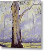 Large Valley Eucalyptus Tree  Australia Metal Print