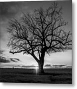 Last Light Metal Print