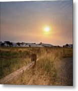 Late Afternoon In White Sands, New Mexico Metal Print