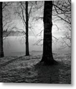 Later That Day. Tampere Arboretum Bw Metal Print