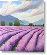 Lavendel Fields Painting Rain France Provence Lavendel Fields Mo Metal Print