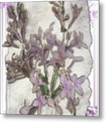 Lavender Lilac Fossil Floral Design Metal Print