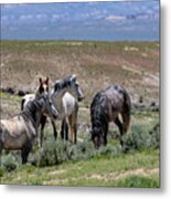 Leaders On The Hill Metal Print