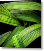 Leaf Crossroads Metal Print