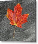 Leaf On Fire Metal Print