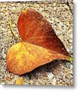 Leaf Metal Print